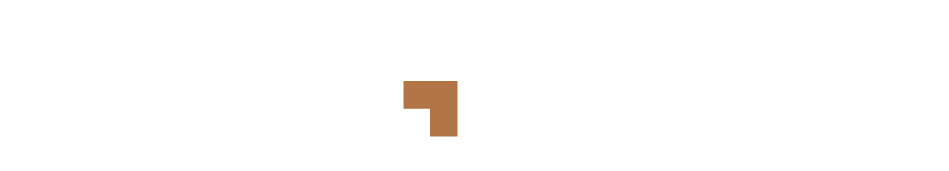 Direct Investor Group logo